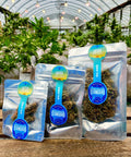 Lifter hemp flower in three sizes on a wooden platter with plants in the background grown and packaged by Appalachian Standard