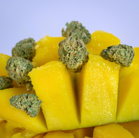 Hemp Flower close-up photograph on mango fruit showcasing the bud structure, trichomes, and hairs grown by Appalachian Standard.