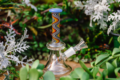 Candy twist 6.5 inch glass water pipe with candy twist downstem