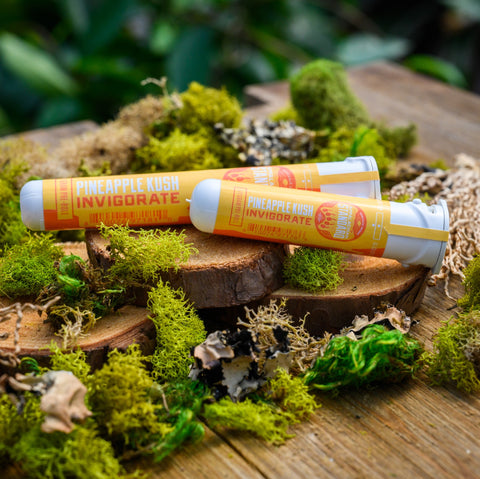 Pineapple Kush  Pre-Rolls in sustainable recycled ocean plastic tubes on wood and moss from Appalachian Standard.