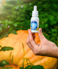 Hand holding a Pumpkin Spice Latte hemp oil tincture in front of a pumpkin in a pumpkin patch in Asheville, NC