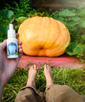 Hand holding a Pumpkin Spice Latte hemp oil tincture in front of a pumpkin and feet in a pumpkin patch in Asheville, NC