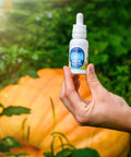 Appalachian Standards Pumpkin Spice Latte CBD Tincture, being held by a hand with a pumpkin patch in the background.