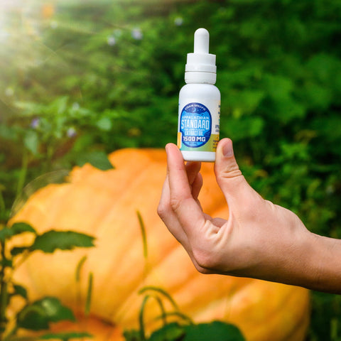 Appalachian Standards Pumpkin Spice Latte CBD Tincture, being held by a hand with a pumpkin patch in the background.