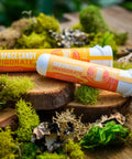 Sour Space Candy pre-rolls in sustainable recycled ocean plastic tubes on wood and moss from Appalachian Standard