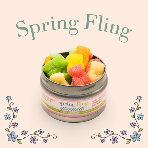 Appalachian Standard Spring Fling Gummies tin, open and overflowing with colorful sugar-coated gummies in green, yellow, red, and orange on a soft peach background with illustrated floral vine accents. Flavors include Coconut Lime, Lemon Meringue Pie, Strawberry Pound Cake, Mango Ice Cream, and Orange Creamsicle.