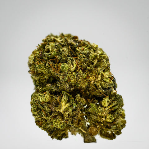 Suver Haze Hemp Flower close-up photograph in whitebox grown by Appalachian Standard.