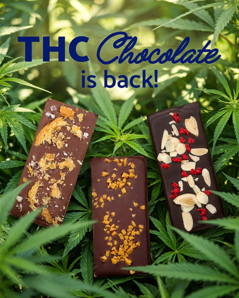 Three chocolate bars on cannabis leaves with 'THC Chocolate is back!' text.