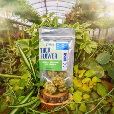 Appalachian Standard's OG Kush THCA hemp flower in a mylar bag with hemp flower in front and lush greenhouse plants filling the background.