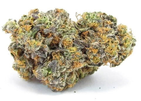 Appalachian Standard's Gary Payton THCA hemp flower with green and purple hues.