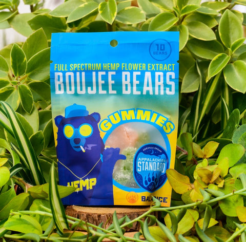 A 10 pack bag of Appalachian Standard's CBD Gummies surrounded by green plants
