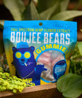 A 50 pack bag of Appalachian Standard's CBD Gummies surrounded by green plants