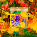 A bag of Appalachian Standard's Flower Power Energy B12 CBD Gummies surrounded by plants