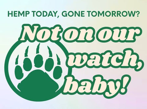 A digital flyer or poster with a light pastel gradient background, featuring bold green and white text that reads 'HEMP TODAY, GONE TOMORROW? Not on our watch, baby!' alongside a green paw print logo. It includes a call to action in red and green text, and the brand name 'APPALACHIAN STANDARD' at the bottom.