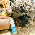A 1 oz bottle of Appalachian Standard's Pet Formula Full Spectrum CBD Tincture next to a black dog wearing sunglasses