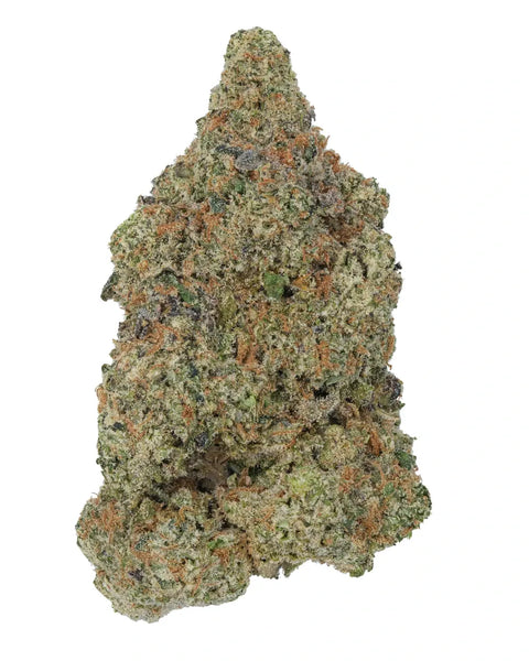 A close-up of green hemp flower on a white background