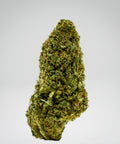 Lifter Hemp Flower close-up photograph in whitebox showcasing the bud structure, trichomes, and hairs grown by Appalachian Standard.