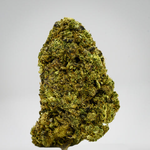 Rock Candy Hemp Flower grown by Appalachian Standard Hemp Flower close-up photograph in whitebox showcasing the bud structure, trichomes, and hairs 