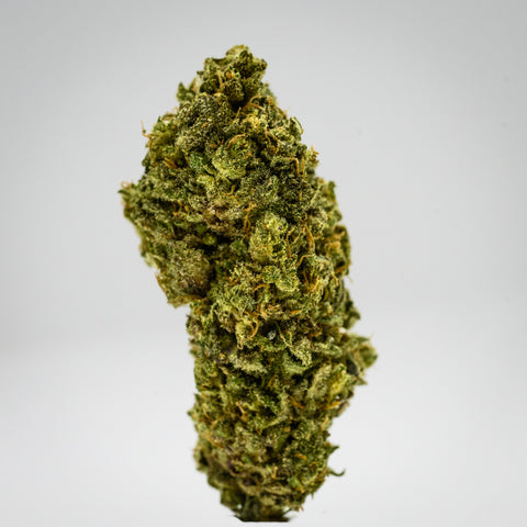 Special Sauce Hemp Flower close-up photograph in whitebox showcasing the bud structure, trichomes, and hairs grown by Appalachian Standard.