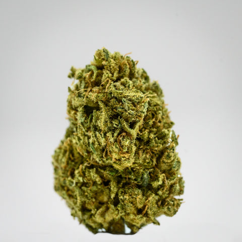 T1 Hemp Flower close-up photograph in whitebox showcasing the bud structure, trichomes, and hairs grown by Appalachian Standard.