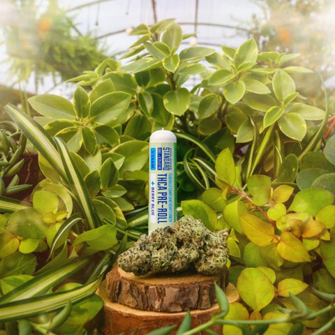 Berry Blue THCA Flower