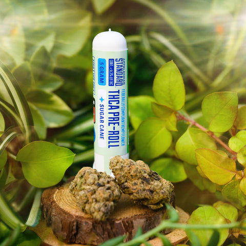 THCA Pre-Roll tube of Appalachian Standard's Sugar Cane THCA hemp flower on a wooden block with green leaves in the background and hemp flower in front.